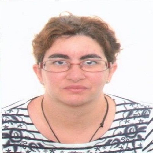 Profesor Montserrat Toledo Cortés